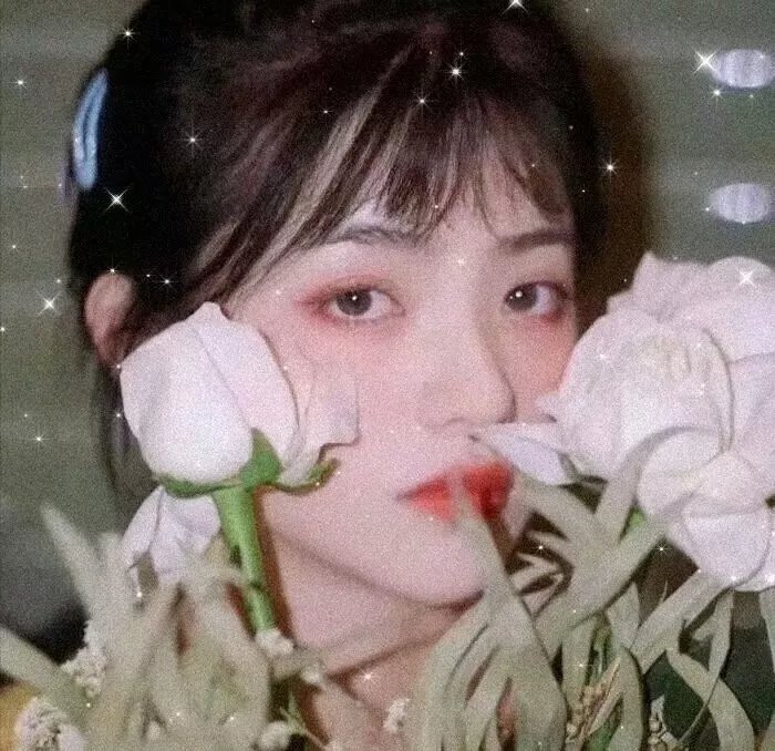 母子情深